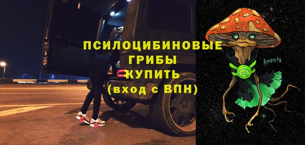 прущие грибы Алзамай